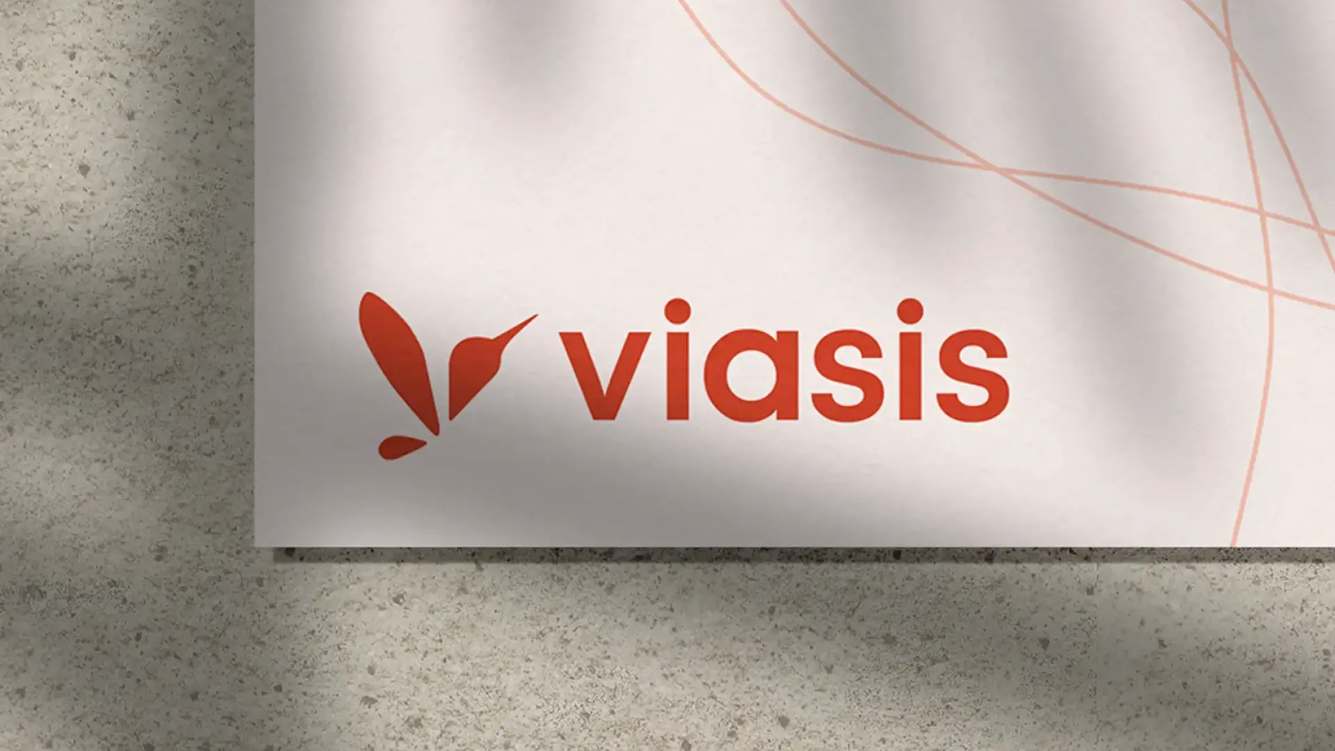 Viasis Branding
